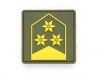 Bundesheer Bundesheer Oberst PVC