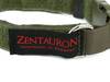 Zentauron Zentauron Einsatzhalsband Chester 2,5 cm