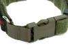 Zentauron Zentauron Einsatzhalsband Chester 2,5 cm