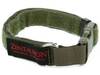 Zentauron Zentauron Einsatzhalsband Chester 2,5 cm